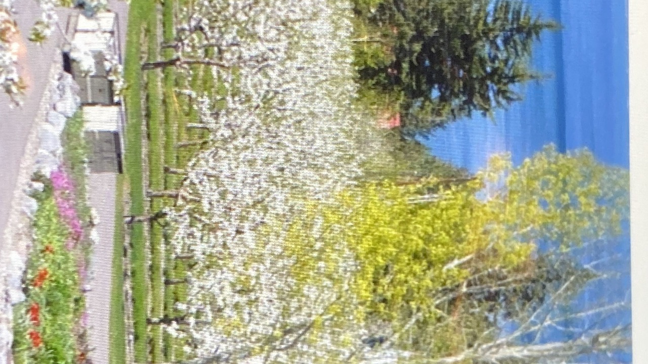 Photo of Outdoor in Thompson Falls