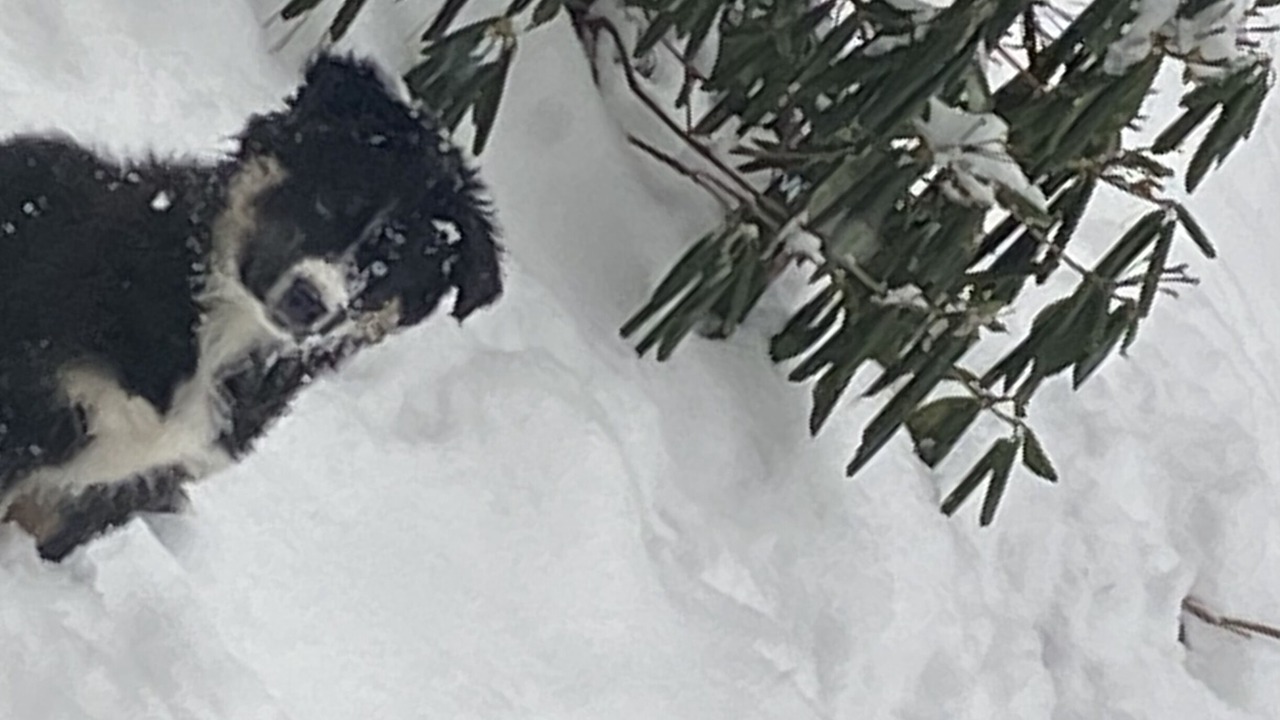Photo of Others in Thompson Falls