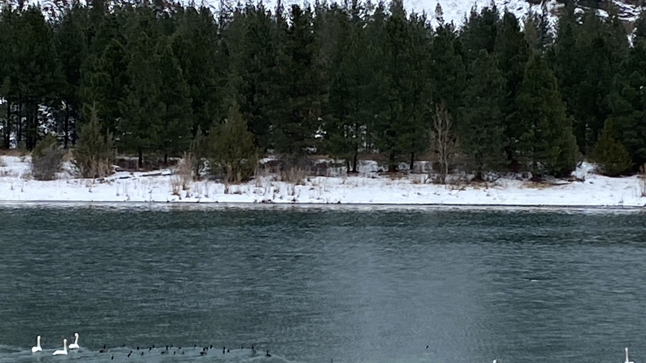 Photo of Others in Thompson Falls
