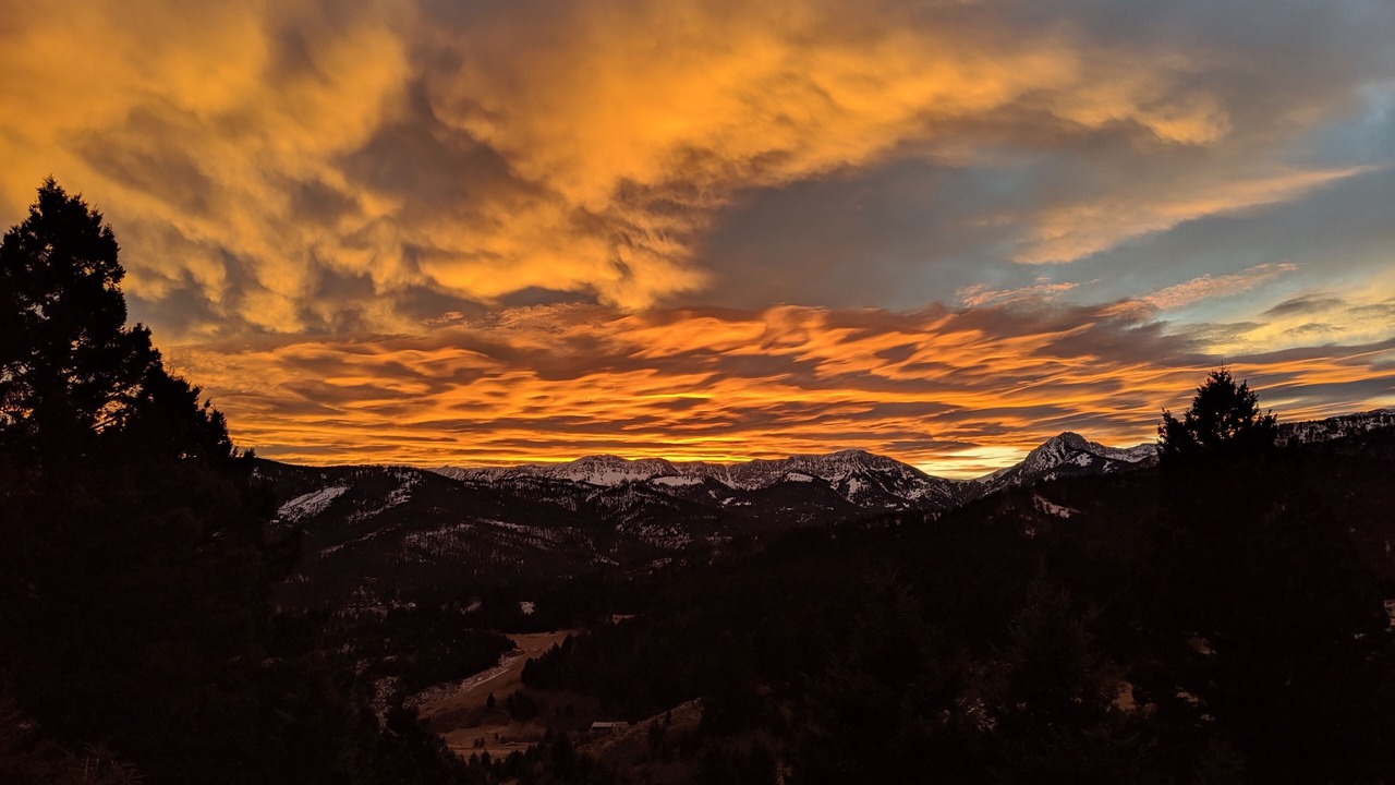 Photo of Others in Bozeman