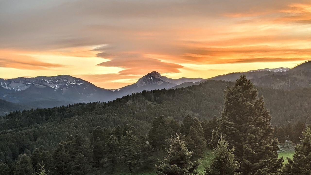 Photo of Others in Bozeman