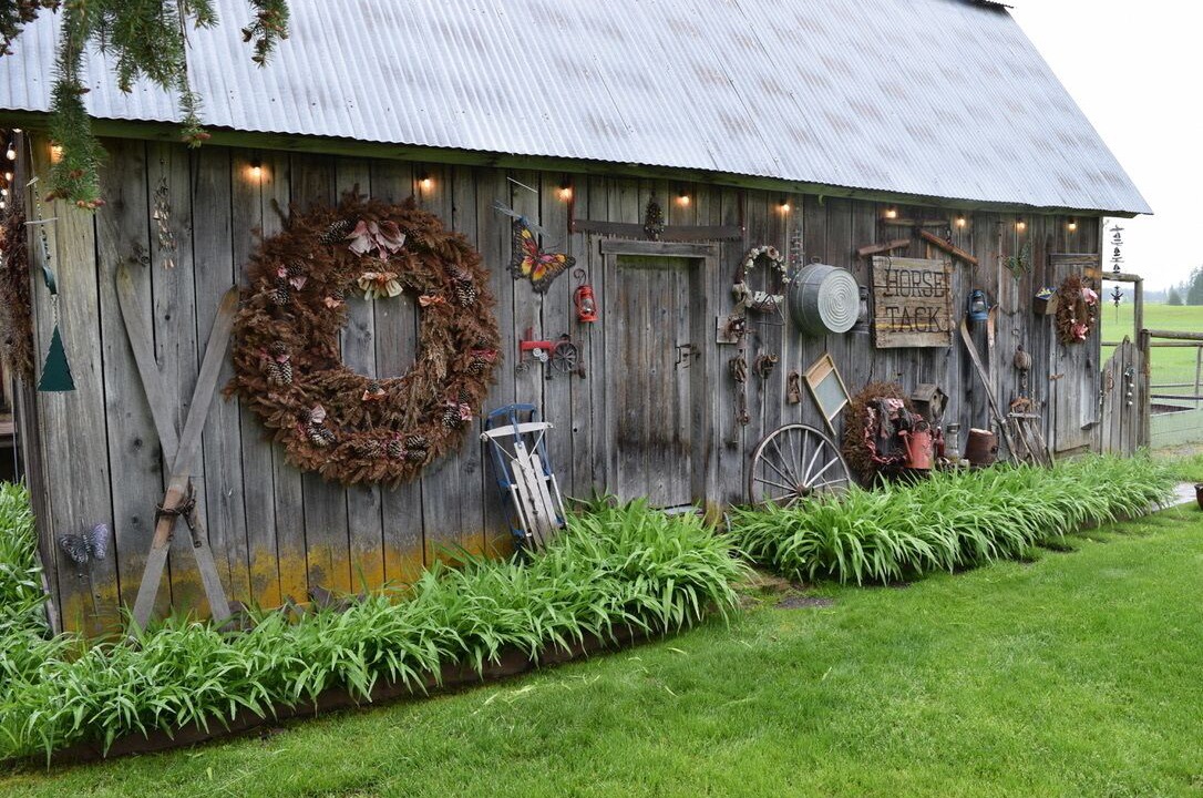 Photo of Outdoor in Trout Creek