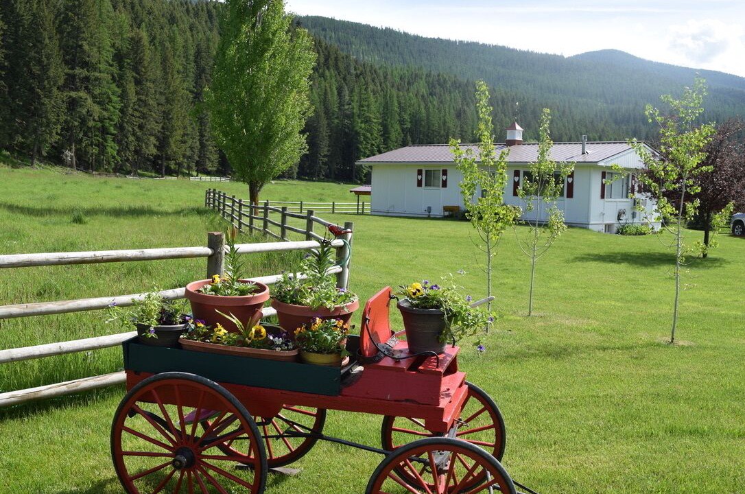 Photo of Outdoor in Trout Creek