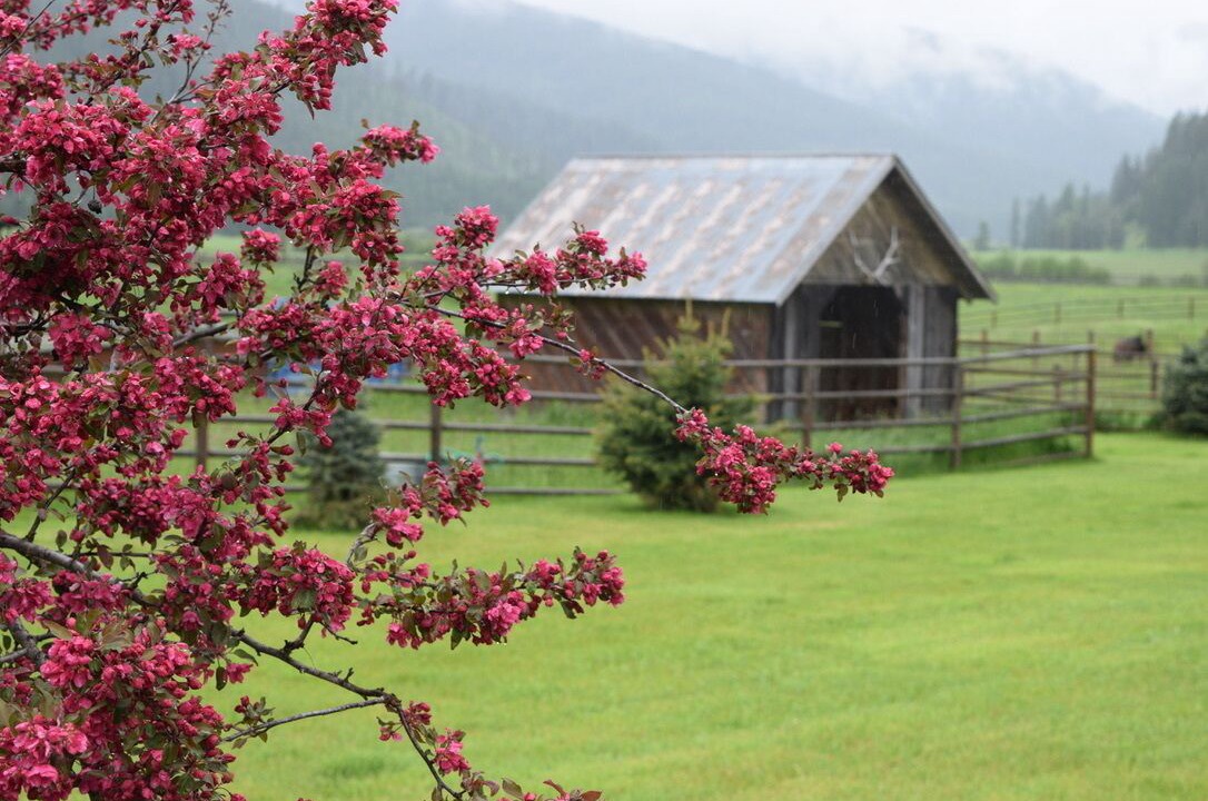 Photo of Outdoor in Trout Creek