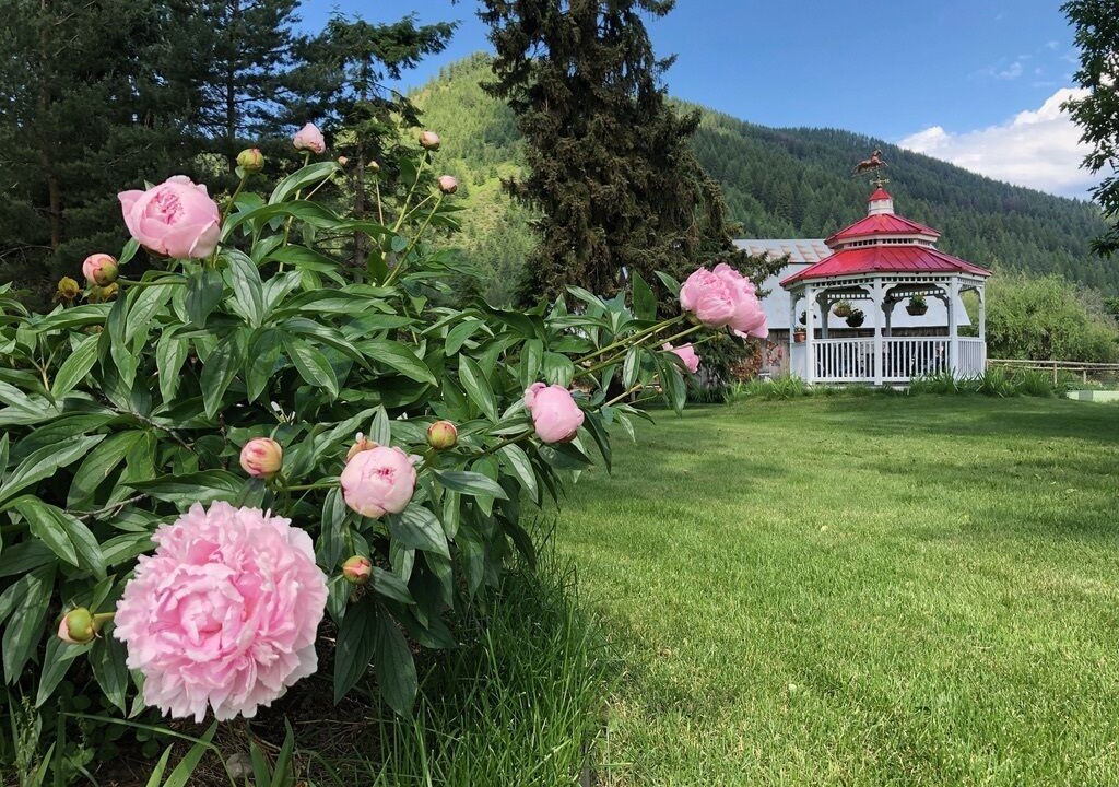 Photo of Outdoor in Trout Creek