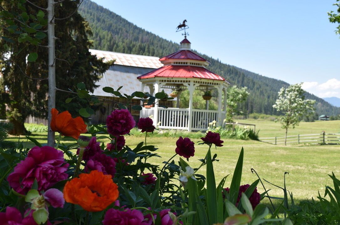 Photo of Outdoor in Trout Creek