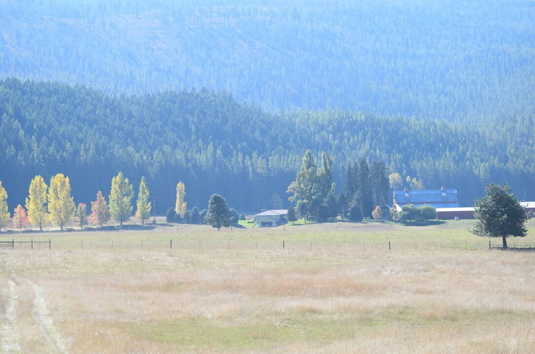 Photo of Outdoor in Trout Creek