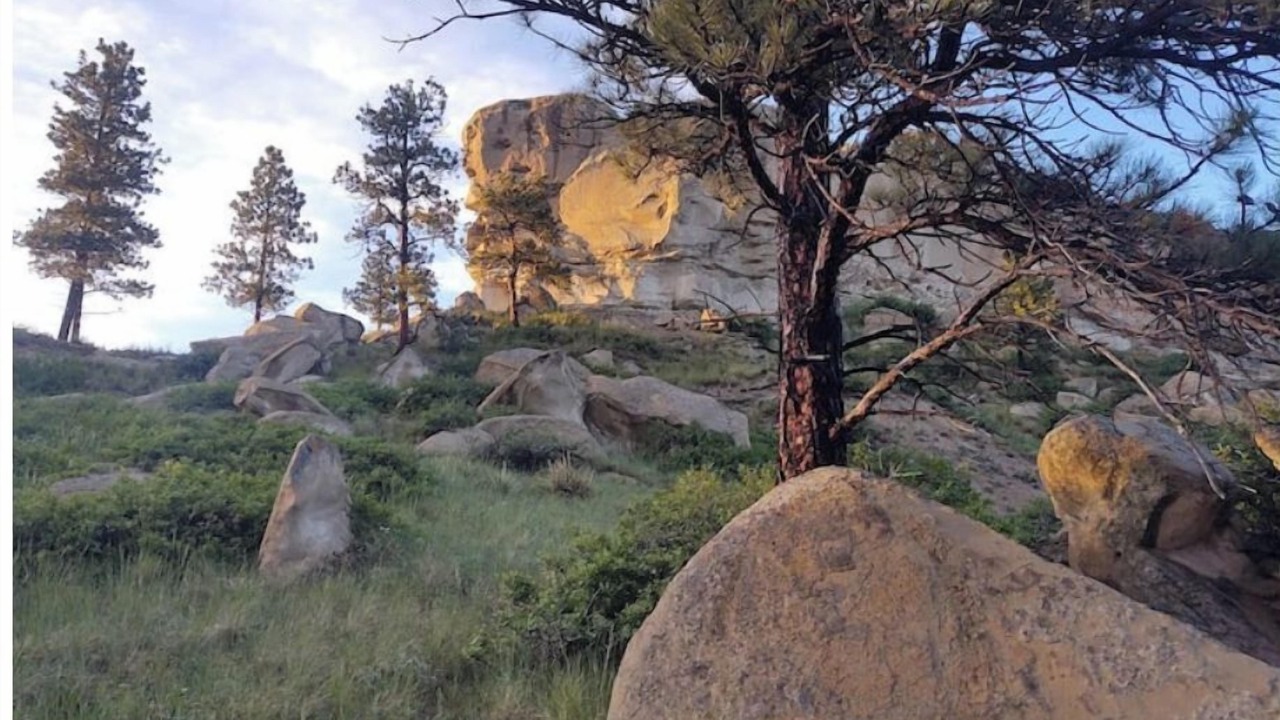 Photo of Outdoor in Roundup