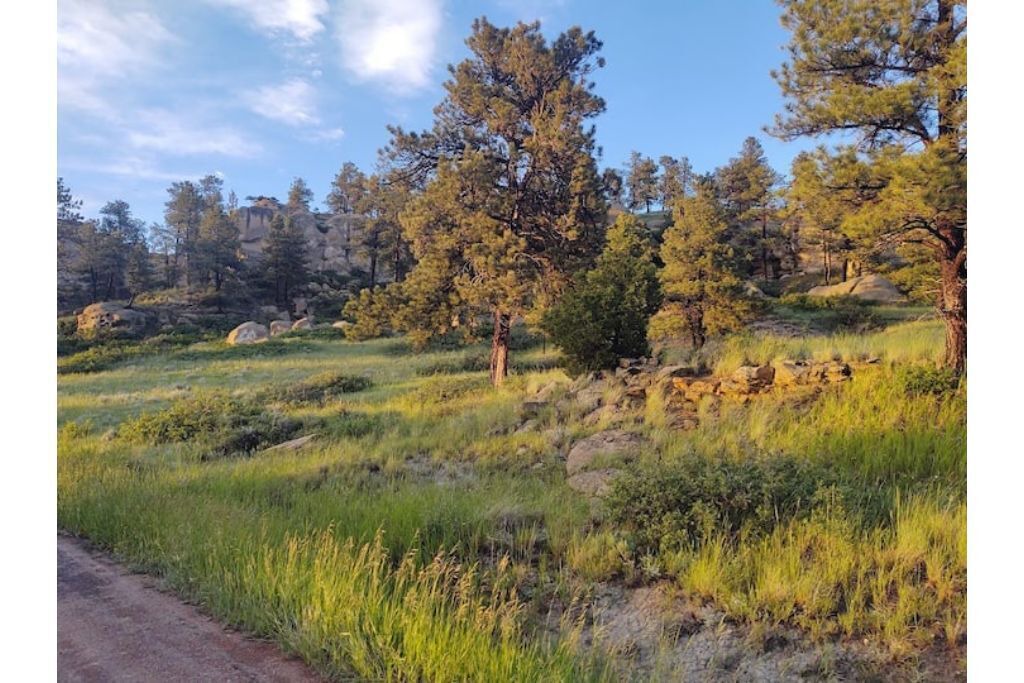 Photo of Outdoor in Roundup