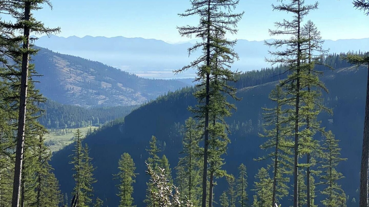 Photo of Outdoor in Lakeside