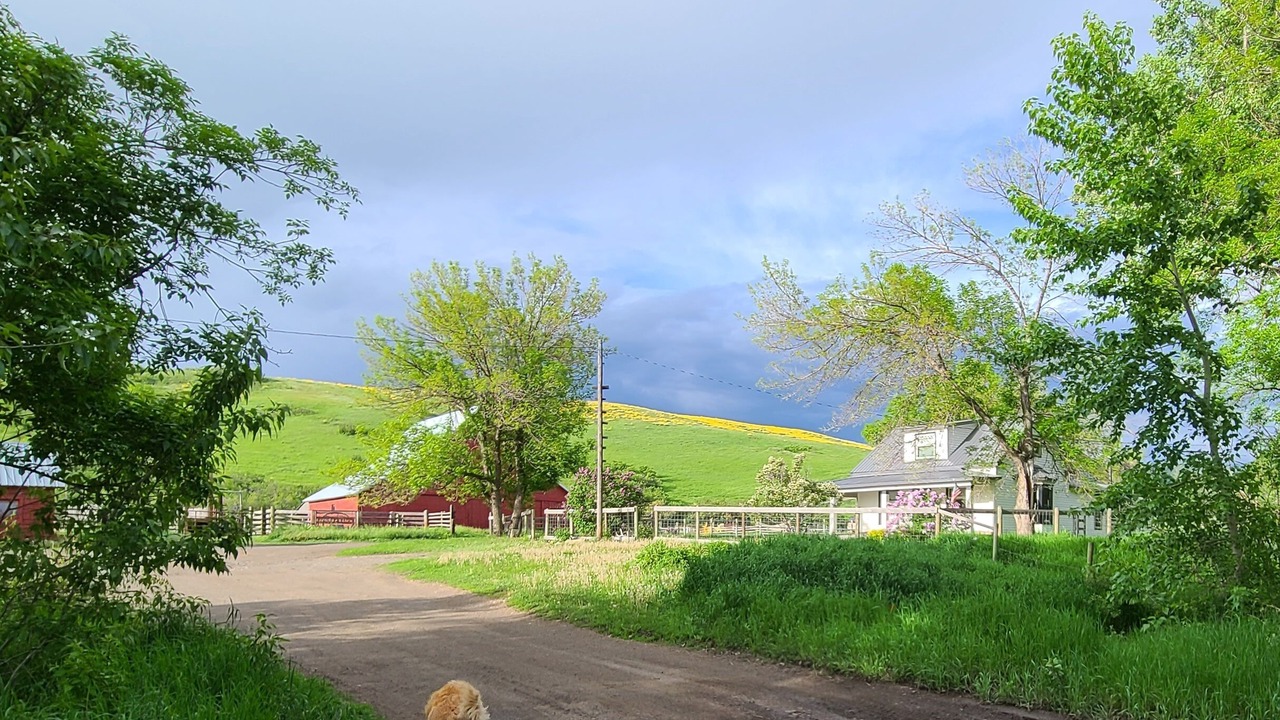 Photo of Outdoor in Geyser