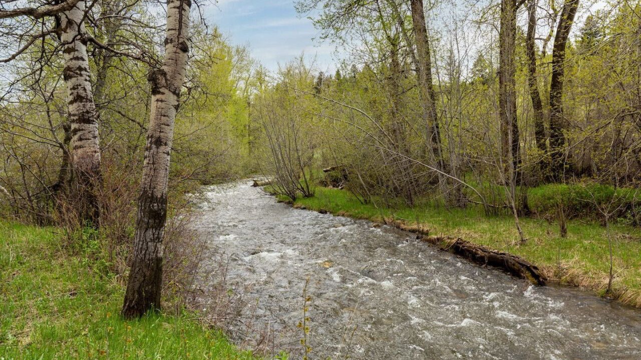 Photo of Others in Bozeman