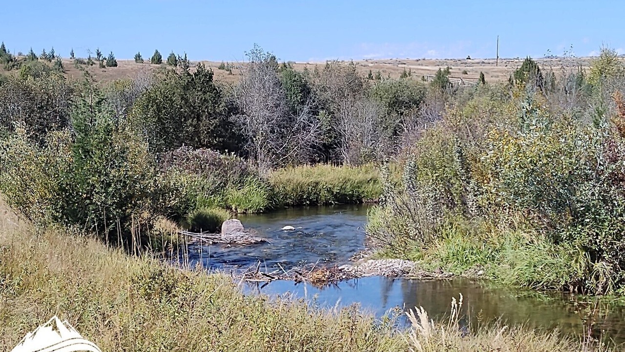 Photo of Others in Ovando