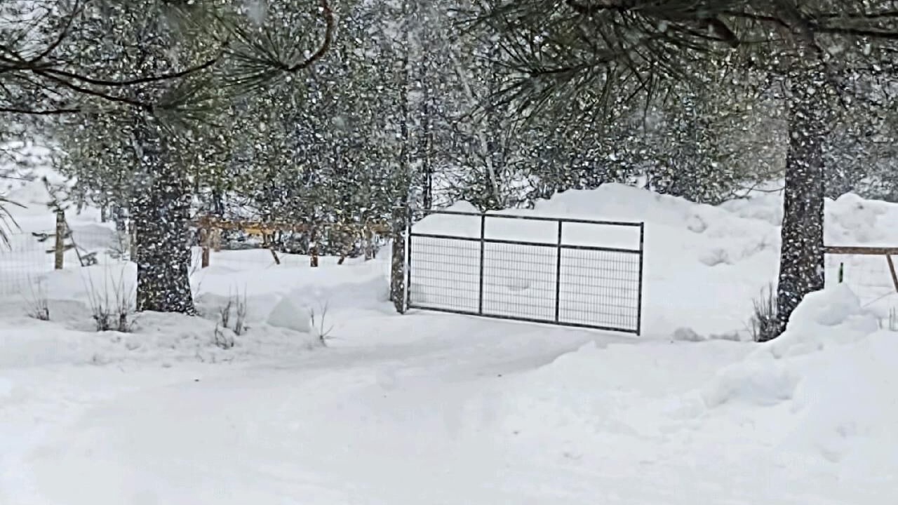 Photo of Outdoor in Haugan