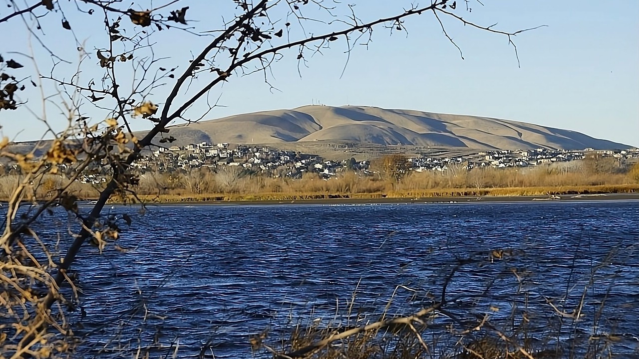 Photo of Others in Kennewick