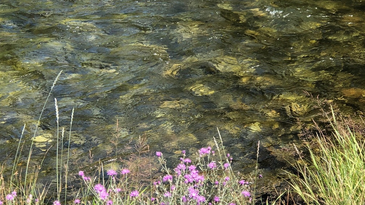Photo of Outdoor in Anaconda