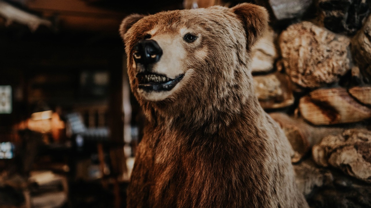 Photo of Others in Mineral County