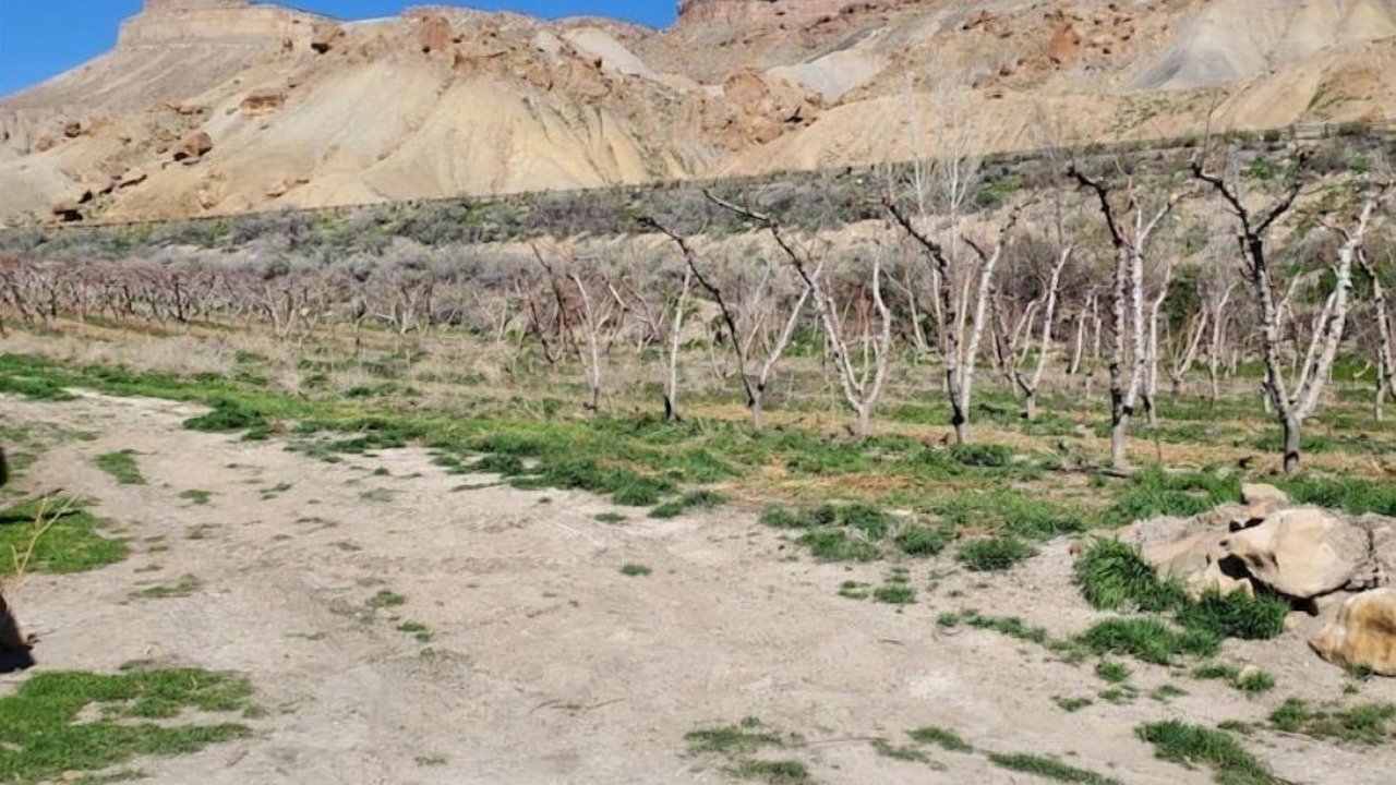 Photo of Outdoor in Palisade