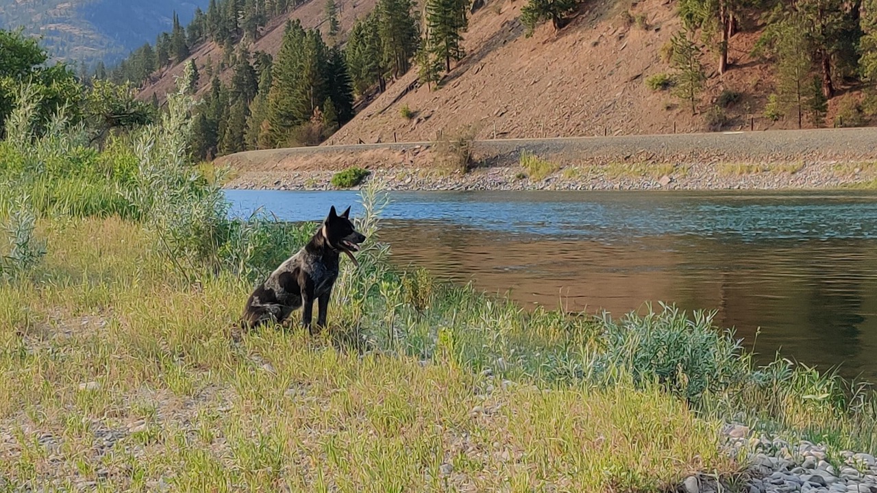 Photo of Others in Glacier Country