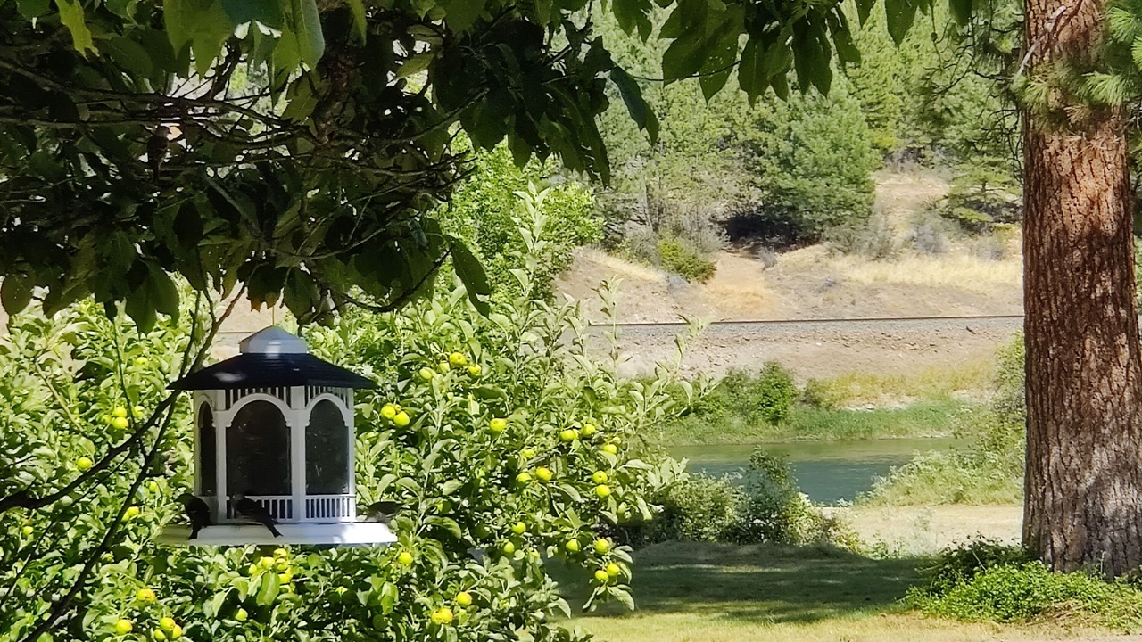 Photo of Outdoor in Glacier Country