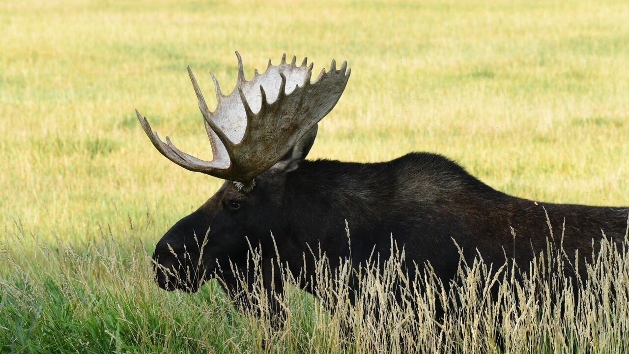 Photo of Others in McAllister