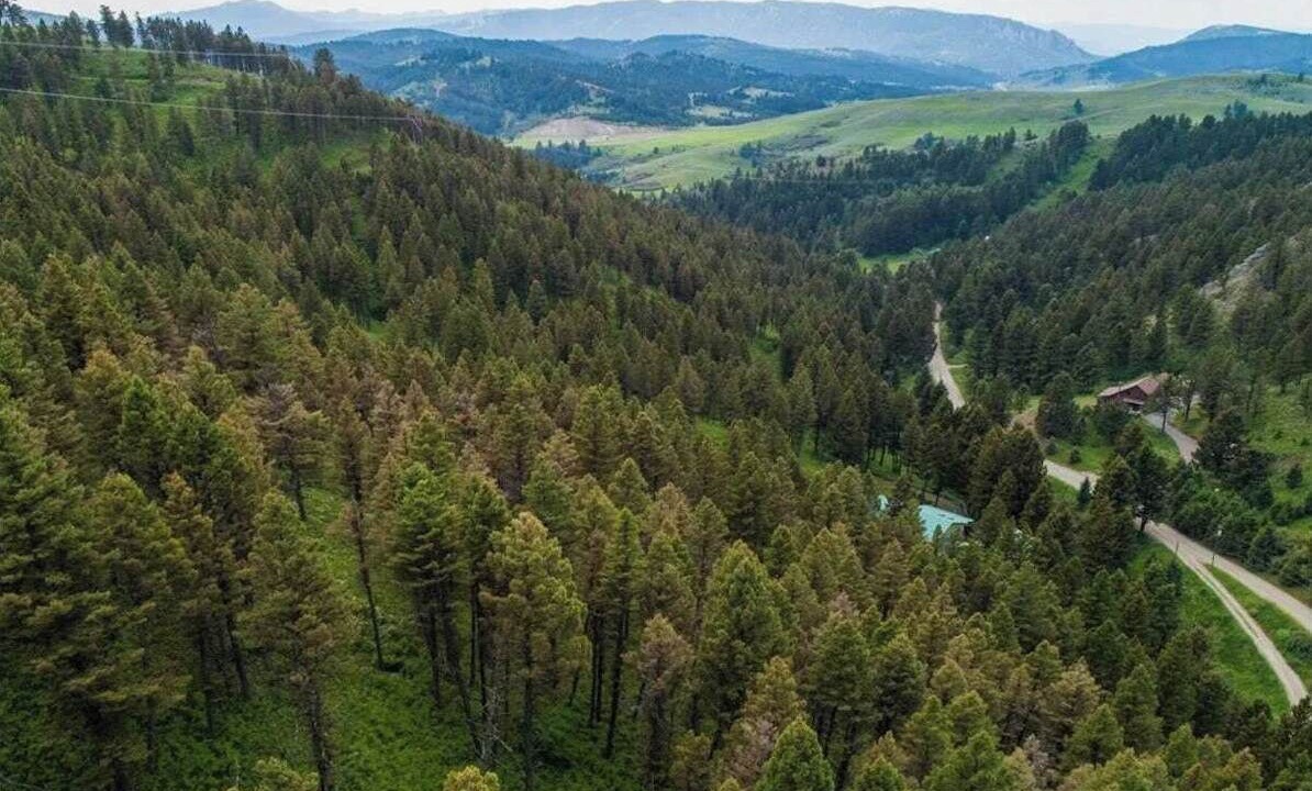 Photo of Others in Bozeman