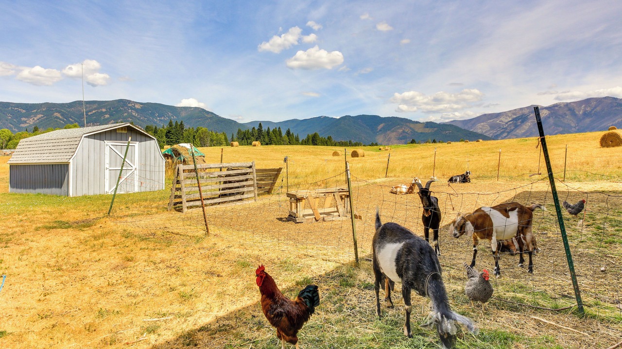 Photo of Others in Trout Creek