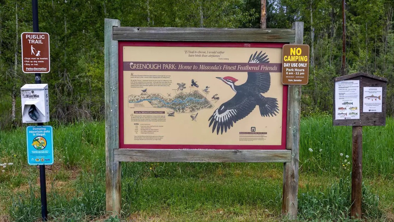 Photo of Outdoor in Lower Rattlesnake
