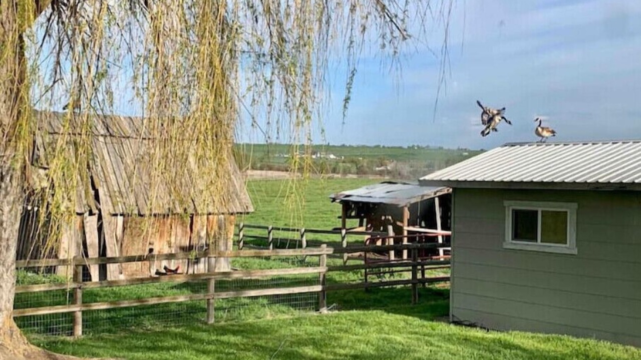 Photo of Outdoor in St. Ignatius