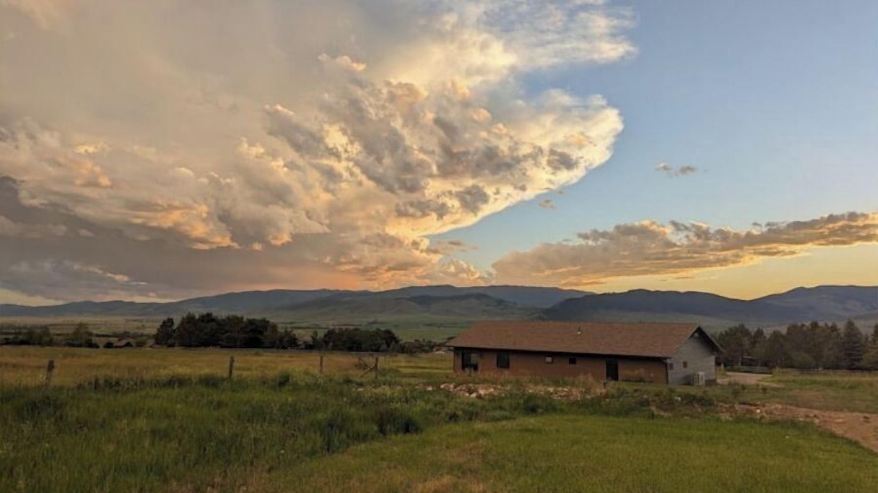 Photo of Outdoor in Livingston