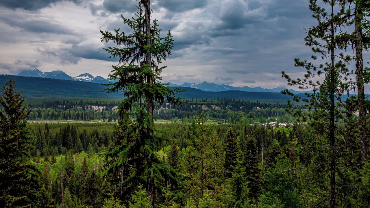 Photo of Others in Polebridge