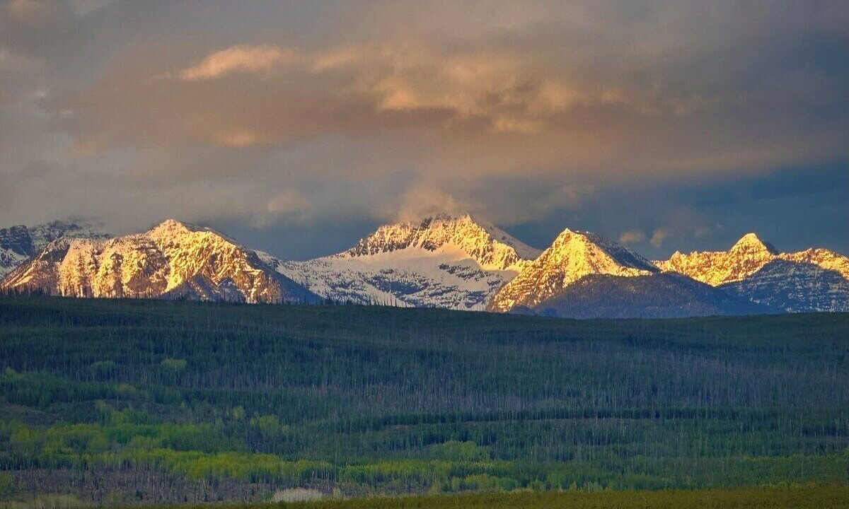 Photo of Others in Polebridge