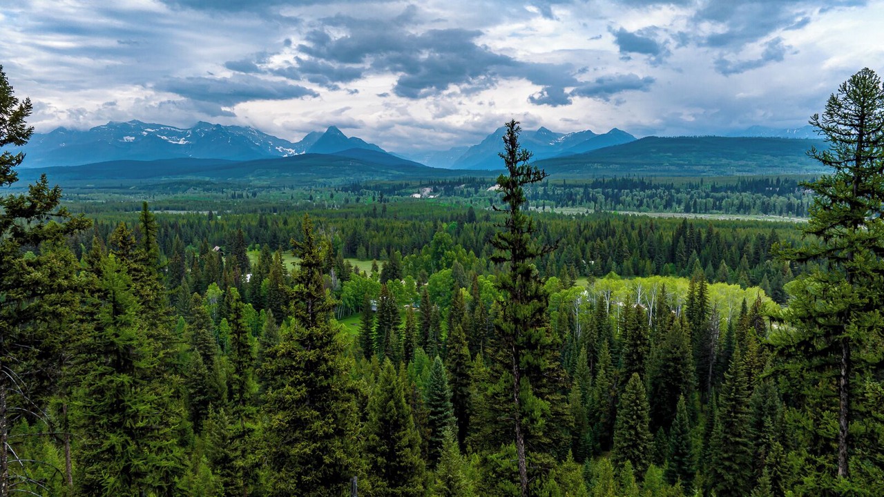 Photo of Bedroom in Polebridge