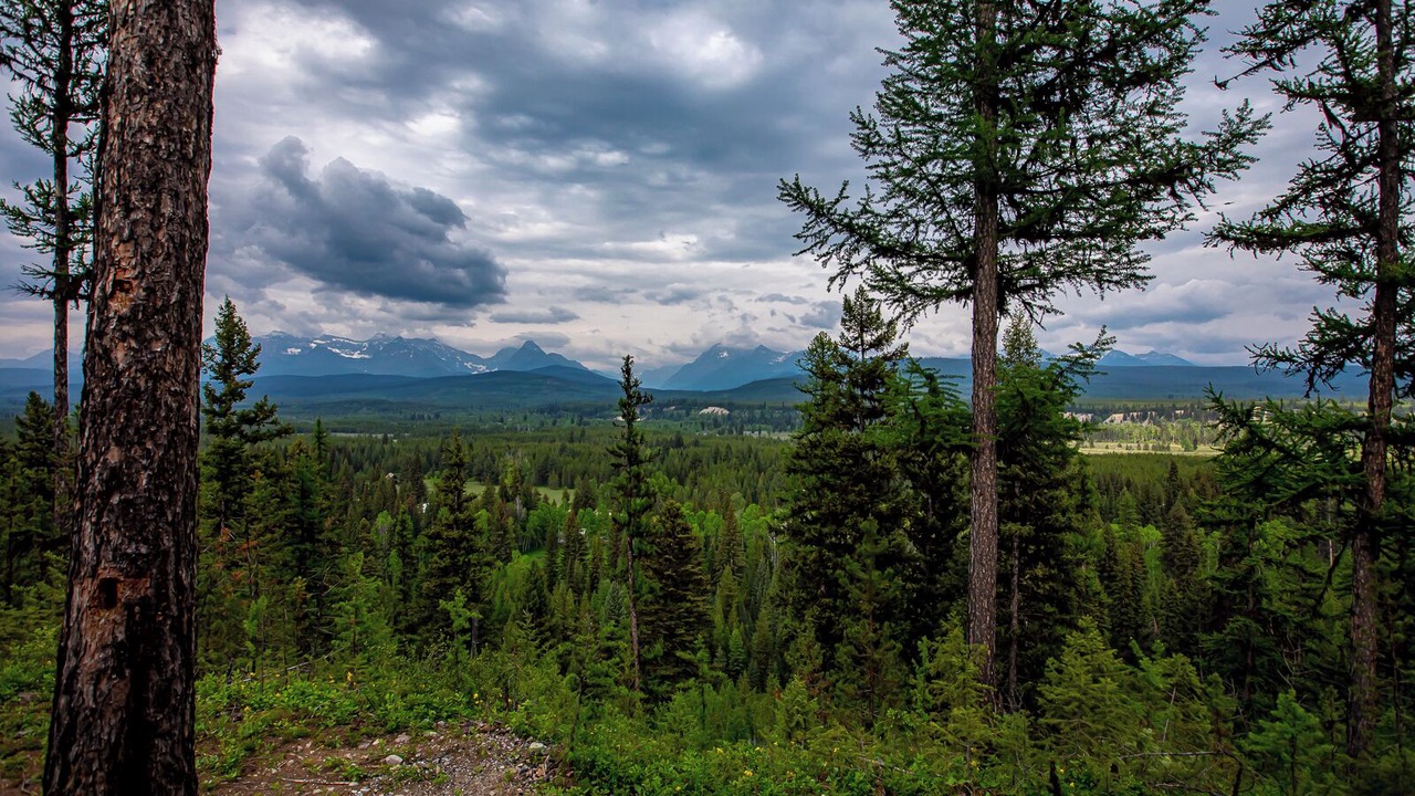 Photo of Others in Polebridge