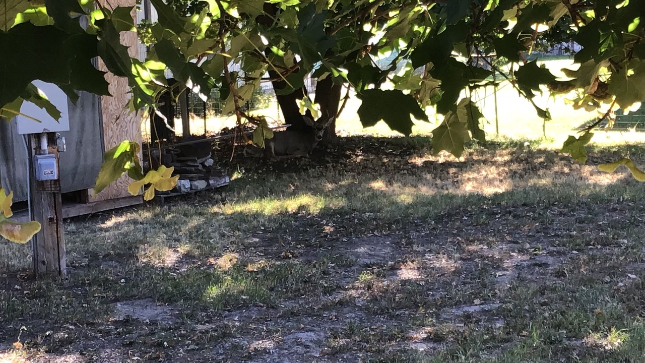 Photo of Outdoor in Plains