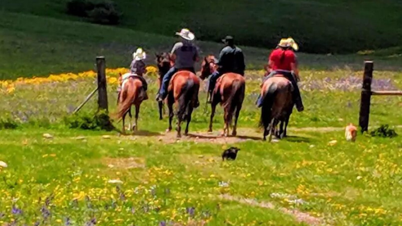Photo of Others in East Glacier Park Village