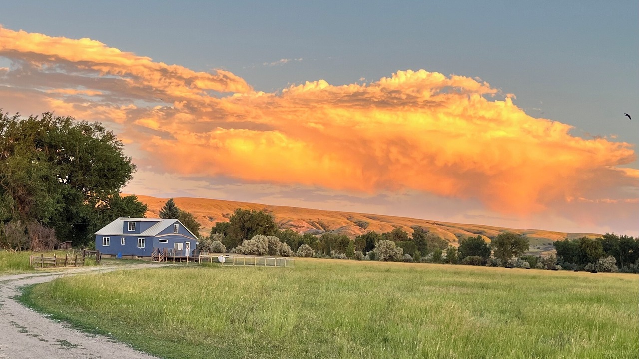 Photo of Outdoor in Edgar
