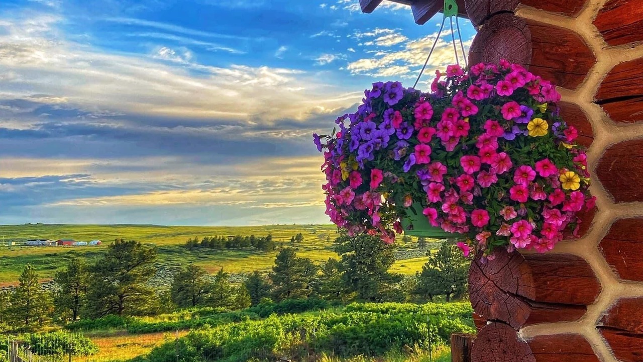 Photo of Outdoor in Yellowstone County