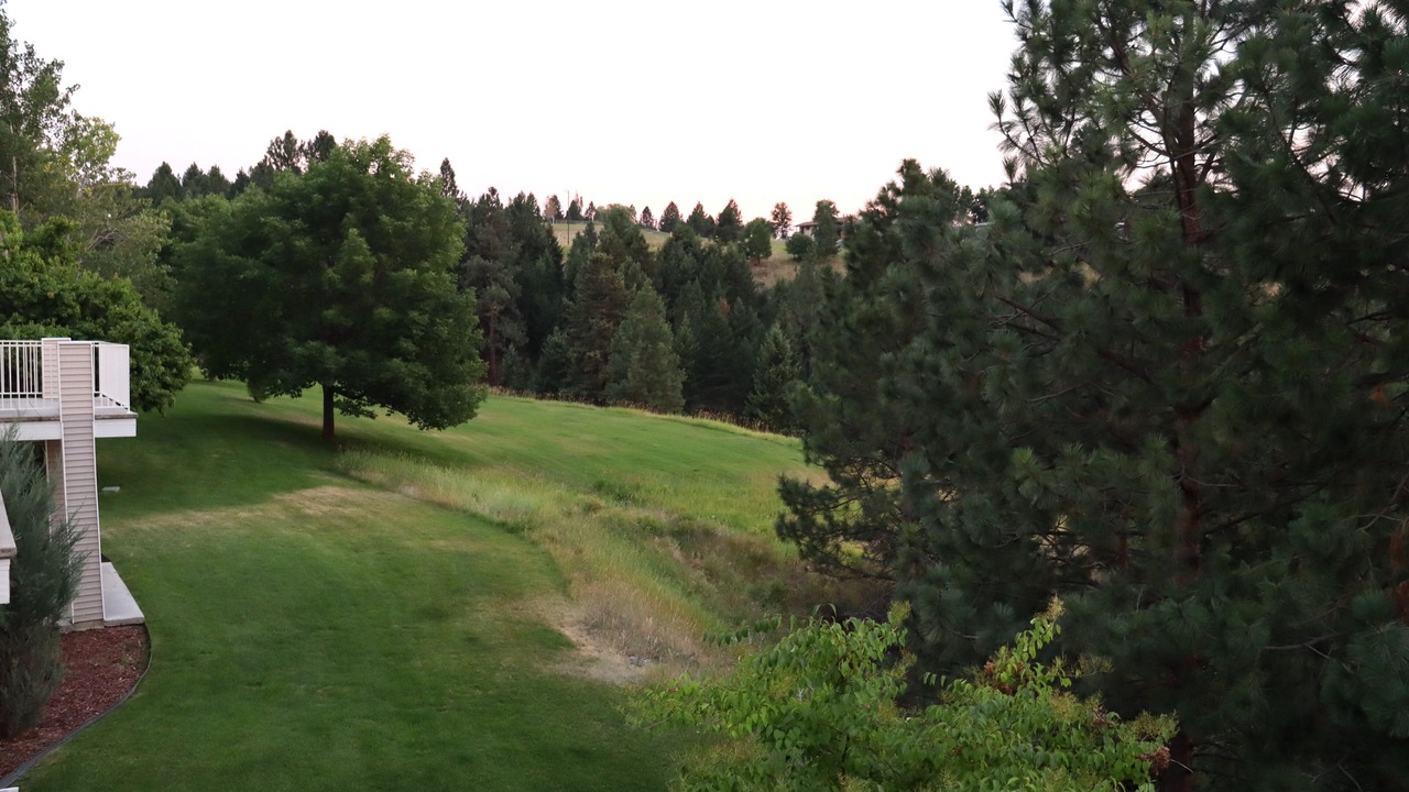 Photo of Outdoor in Moose Can Gully