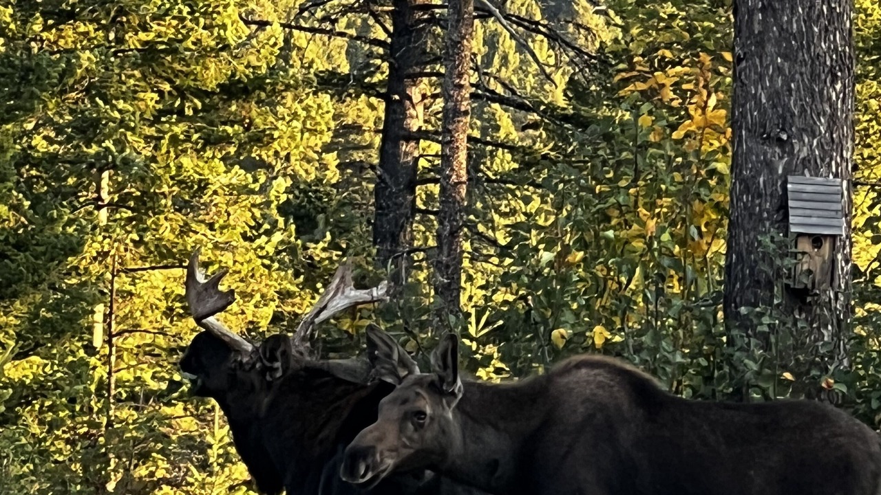 Photo of Outdoor in Livingston