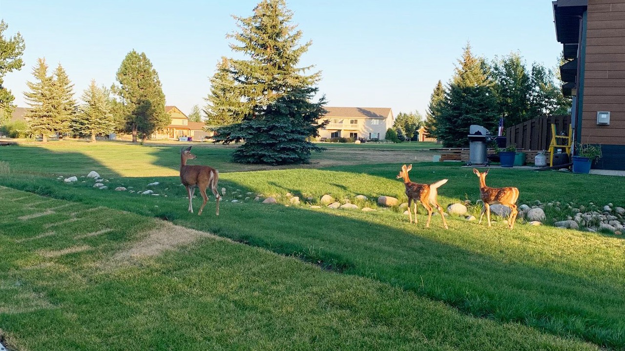 Photo of Outdoor in Red Lodge