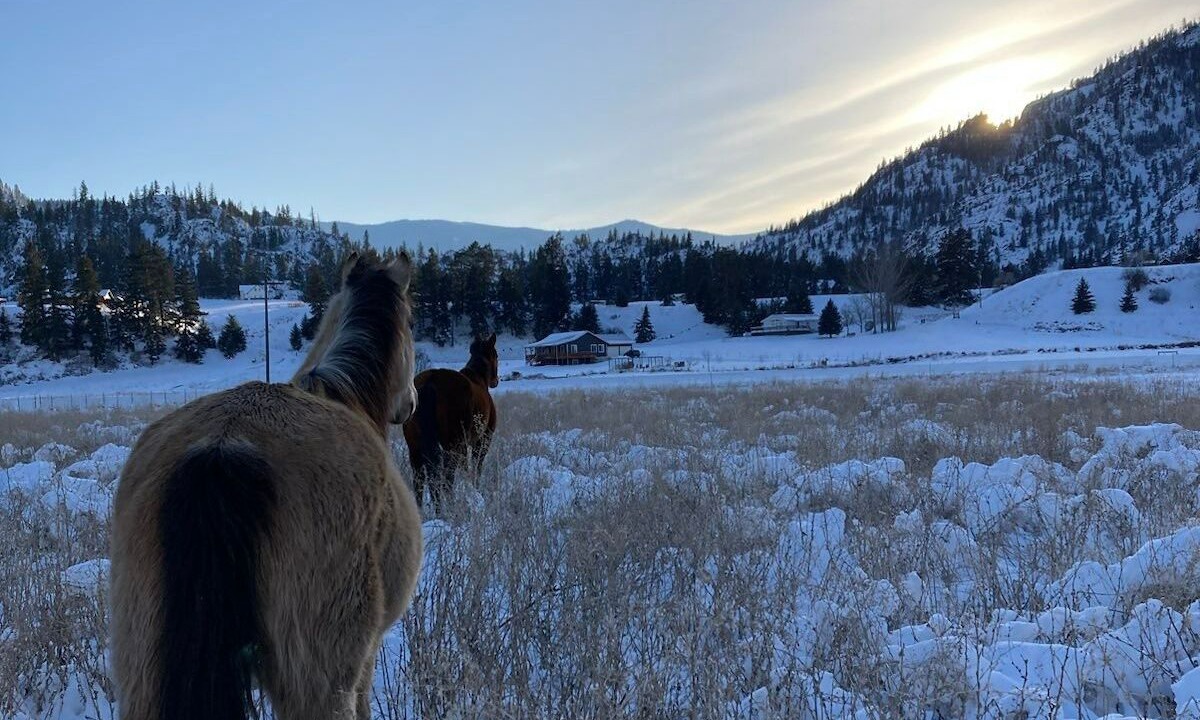 Photo of Others in Glacier Country