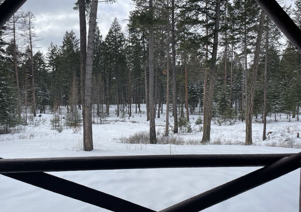 Photo of Outdoor in Lakeside
