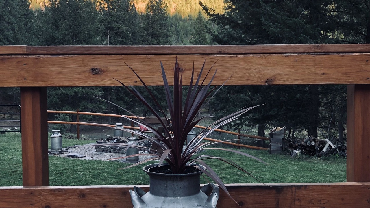 Photo of Outdoor in Alberton