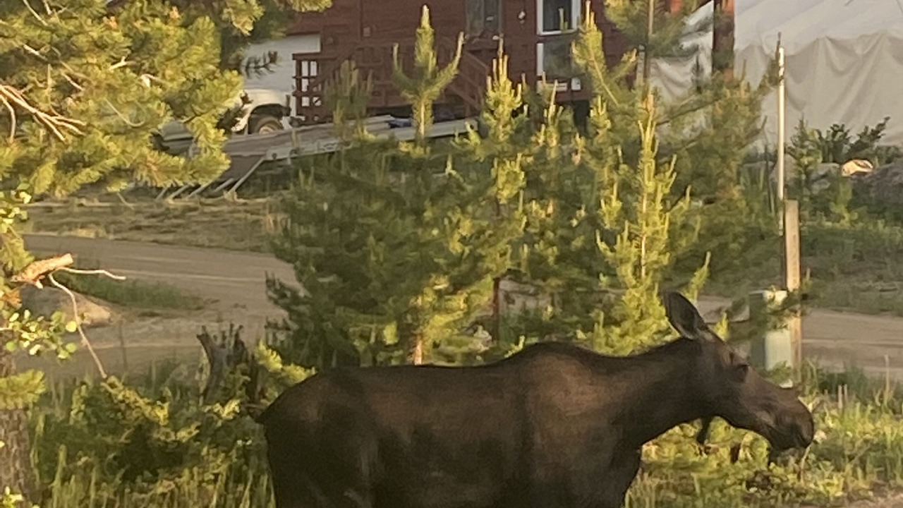 Photo of Others in Grand Lake