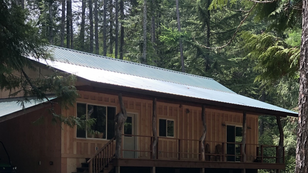 Photo of Outdoor in Heron