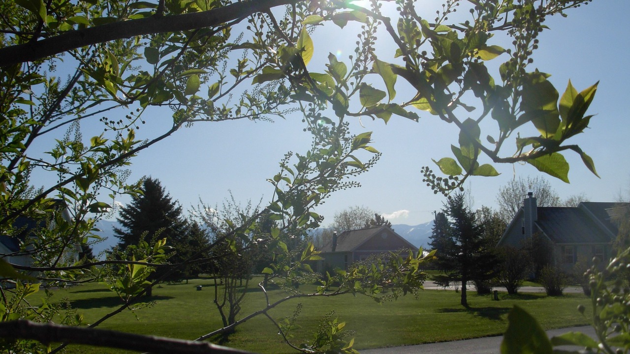 Photo of Outdoor in Bozeman