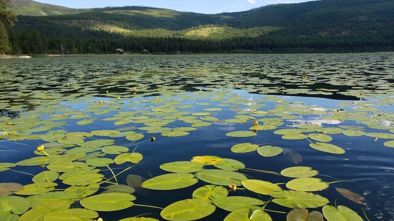 Photo of Outdoor in Kila