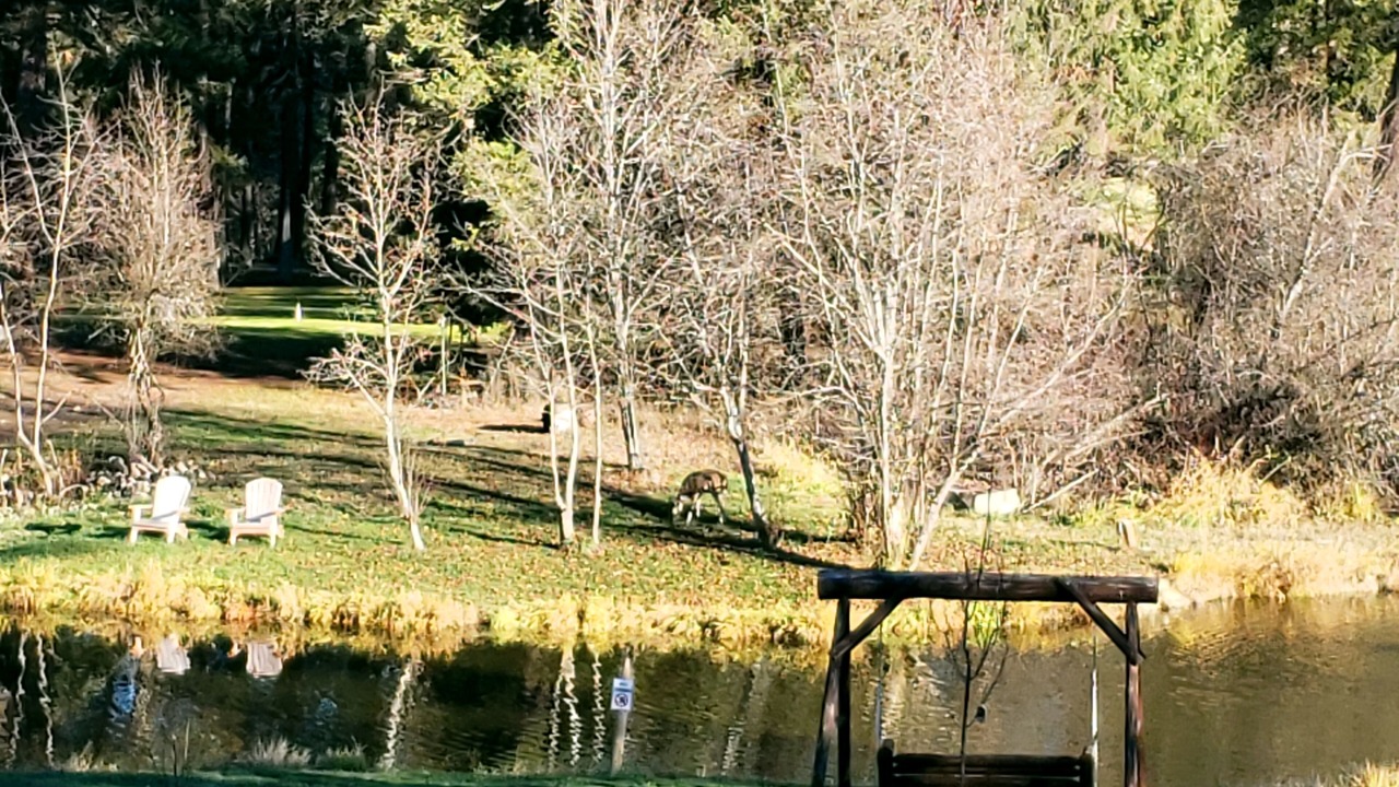 Photo of Others in Thompson Falls