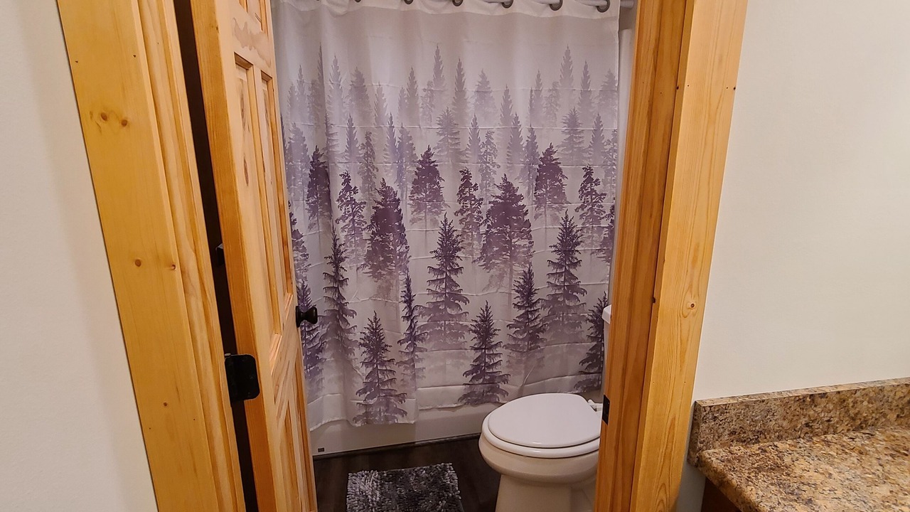 Photo of Bathroom in Dillon